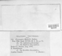 Image Associated With the Occurence